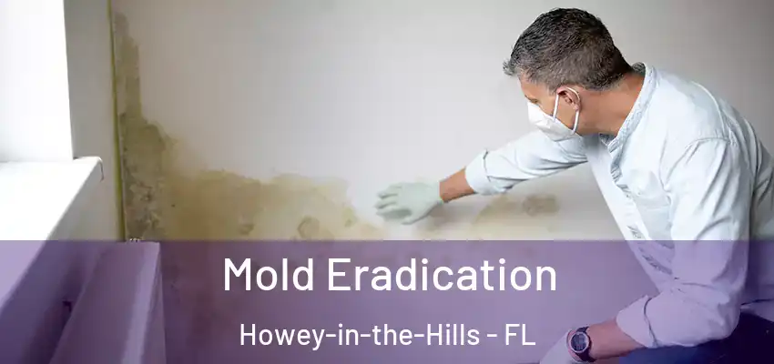 Mold Eradication Howey-in-the-Hills - FL