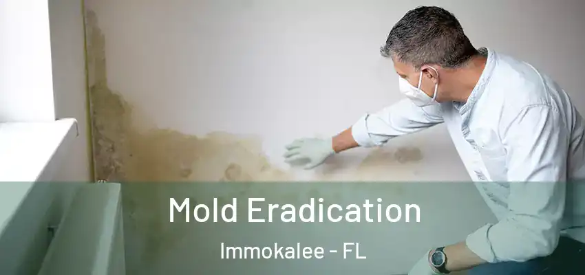  Mold Eradication Immokalee - FL