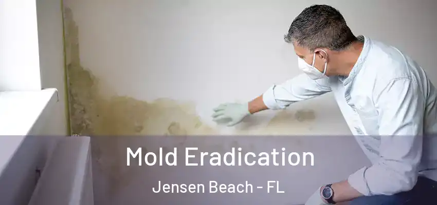  Mold Eradication Jensen Beach - FL