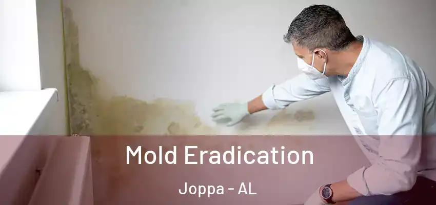  Mold Eradication Joppa - AL