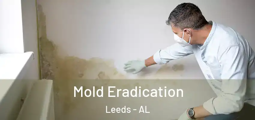  Mold Eradication Leeds - AL