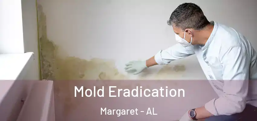 Mold Eradication Margaret - AL