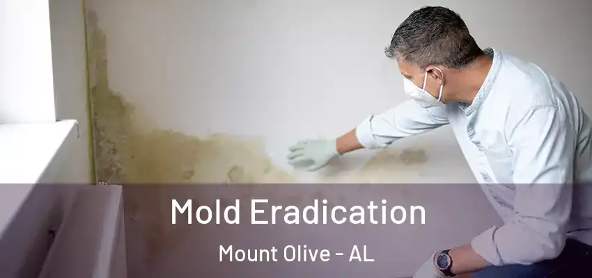  Mold Eradication Mount Olive - AL
