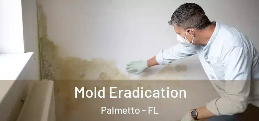 Mold Eradication Palmetto - FL