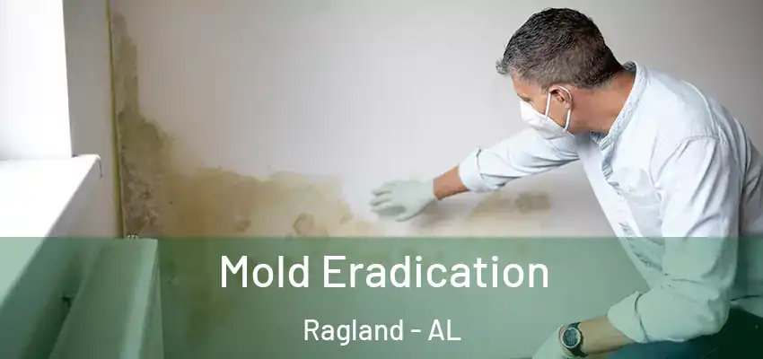  Mold Eradication Ragland - AL