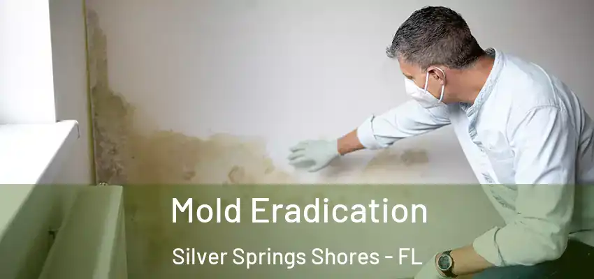  Mold Eradication Silver Springs Shores - FL