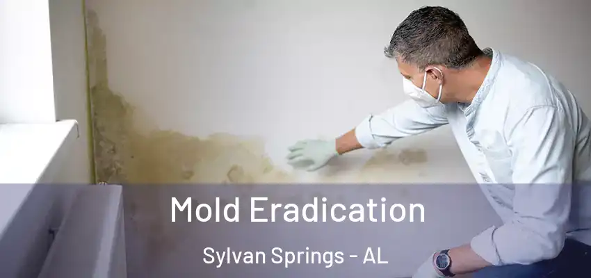  Mold Eradication Sylvan Springs - AL