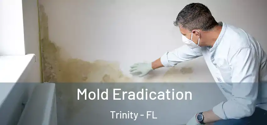  Mold Eradication Trinity - FL