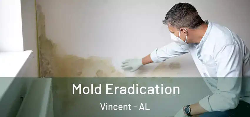  Mold Eradication Vincent - AL