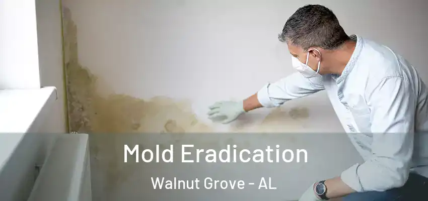 Mold Eradication Walnut Grove - AL