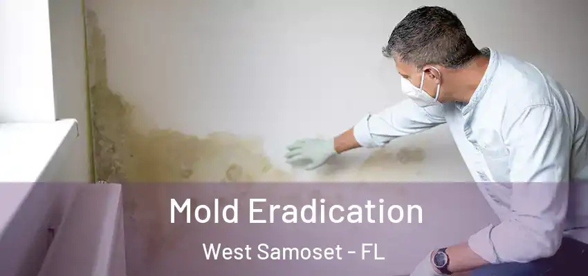 Mold Eradication West Samoset - FL