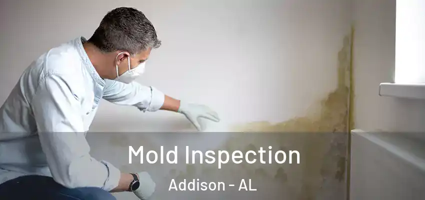  Mold Inspection Addison - AL