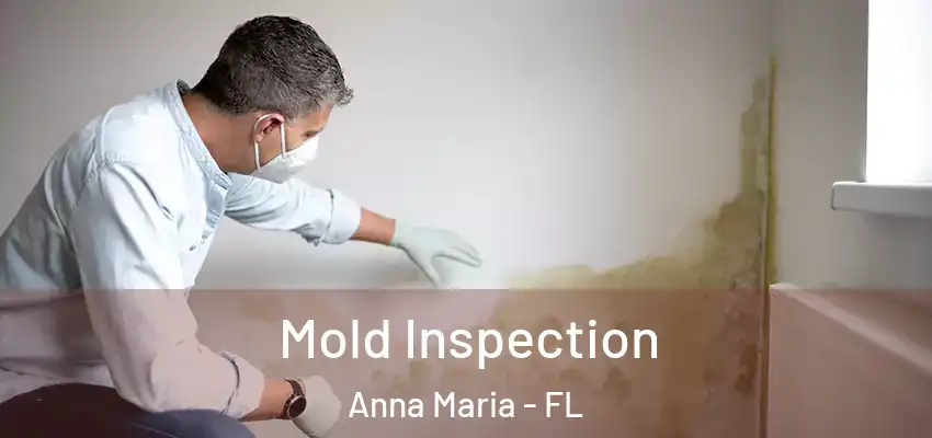 Mold Inspection Anna Maria - FL