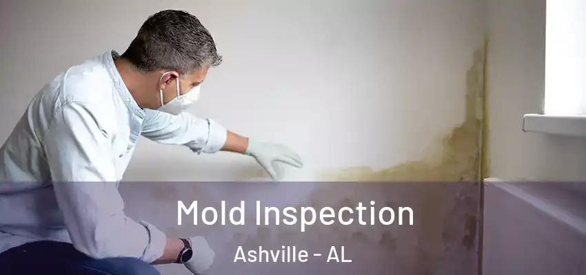 Mold Inspection Ashville - AL