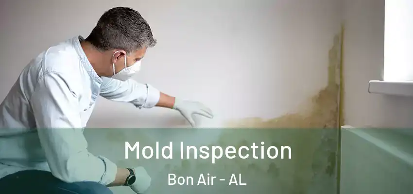 Mold Inspection Bon Air - AL