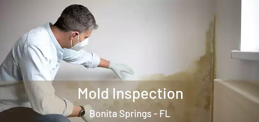  Mold Inspection Bonita Springs - FL