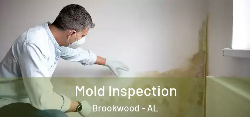  Mold Inspection Brookwood - AL