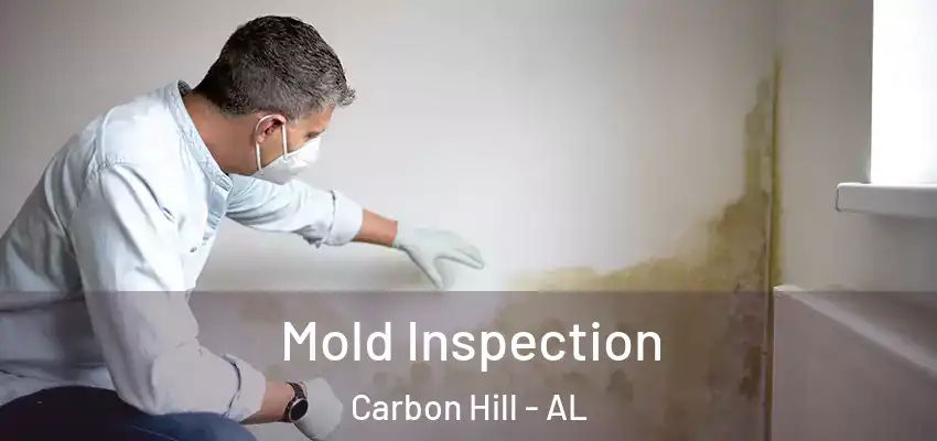  Mold Inspection Carbon Hill - AL