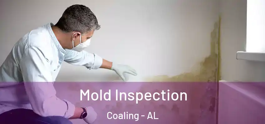  Mold Inspection Coaling - AL