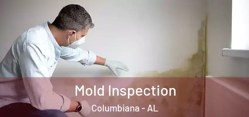  Mold Inspection Columbiana - AL