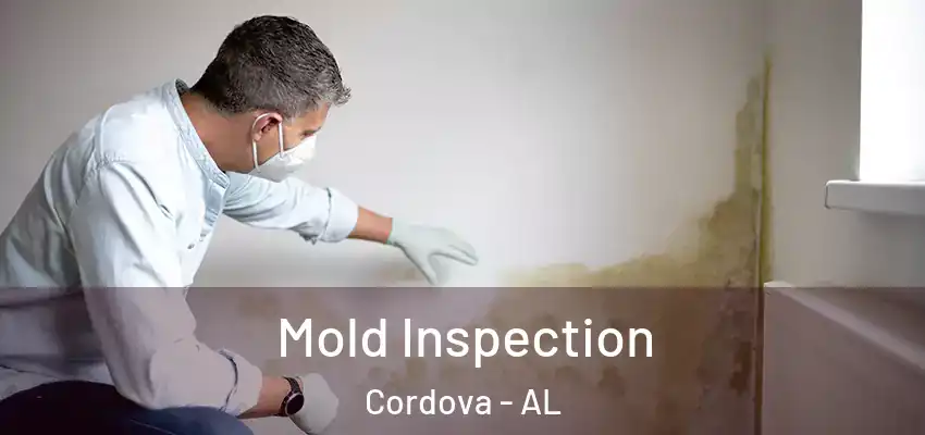Mold Inspection Cordova - AL