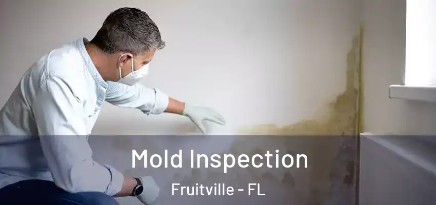 Mold Inspection Fruitville - FL