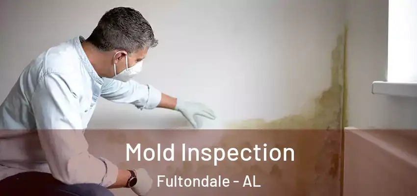 Mold Inspection Fultondale - AL