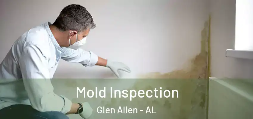  Mold Inspection Glen Allen - AL