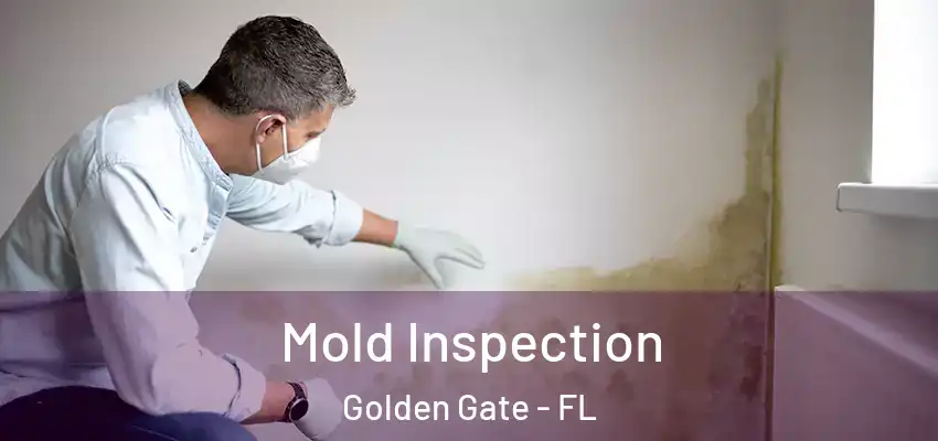 Mold Inspection Golden Gate - FL