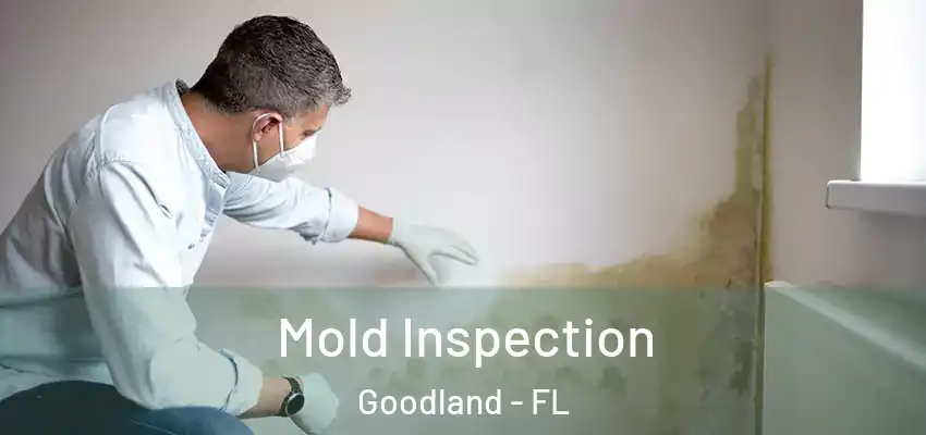 Mold Inspection Goodland - FL