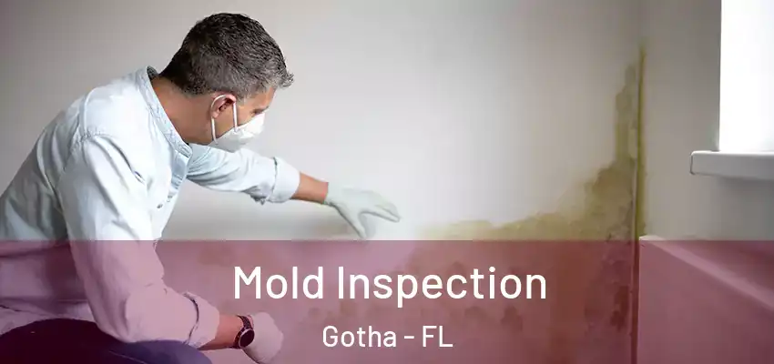 Mold Inspection Gotha - FL