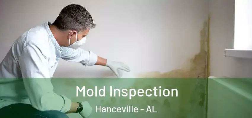  Mold Inspection Hanceville - AL