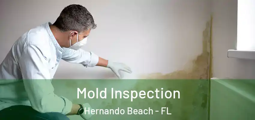 Mold Inspection Hernando Beach - FL