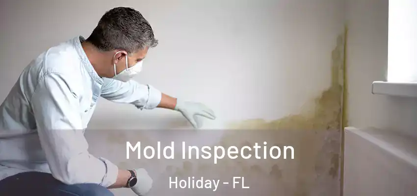 Mold Inspection Holiday - FL