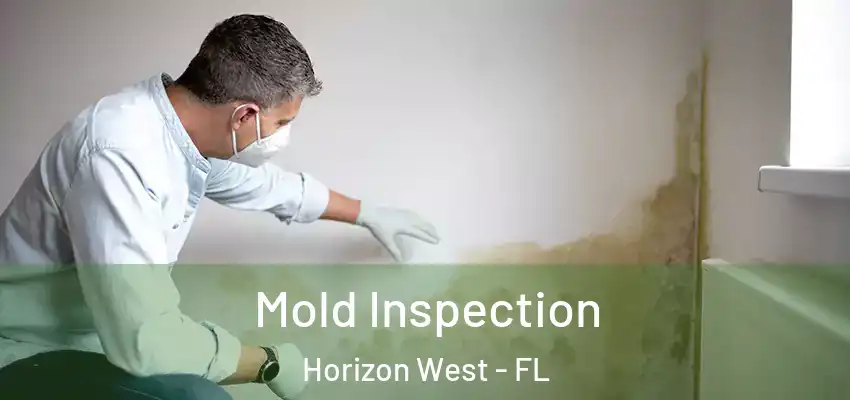  Mold Inspection Horizon West - FL