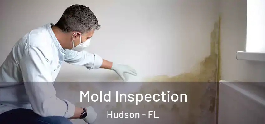  Mold Inspection Hudson - FL