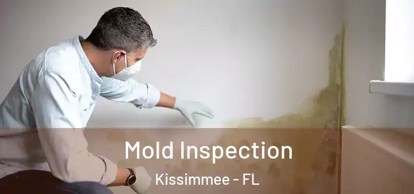 Mold Inspection Kissimmee - FL