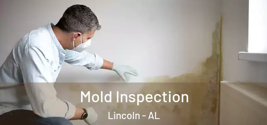  Mold Inspection Lincoln - AL