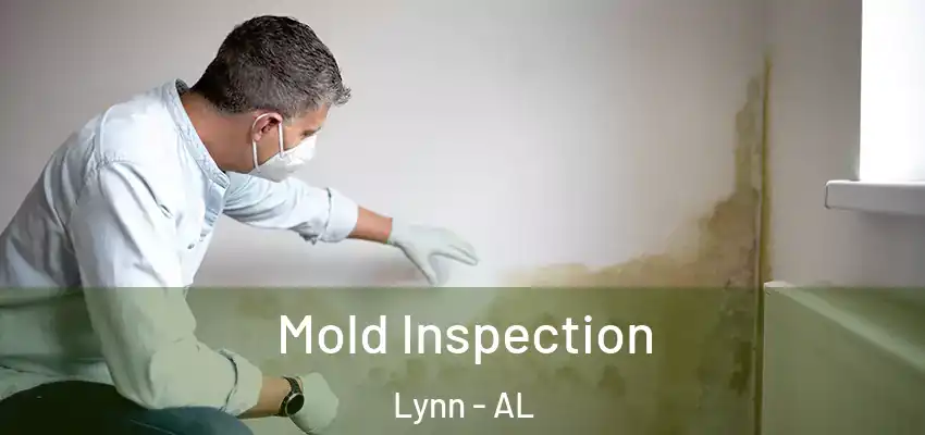 Mold Inspection Lynn - AL