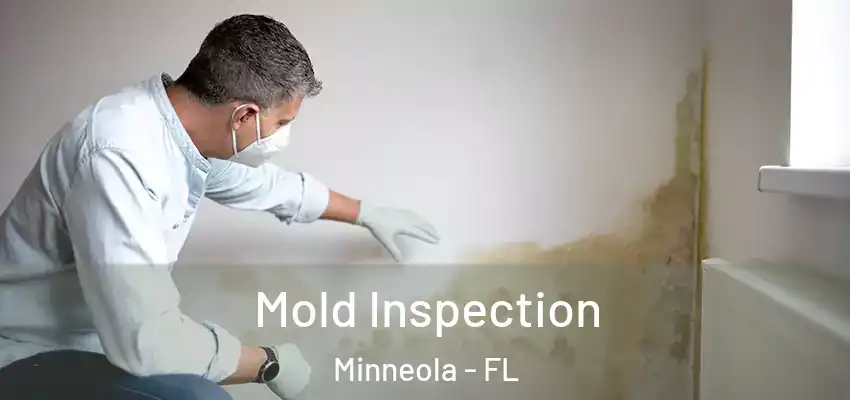 Mold Inspection Minneola - FL