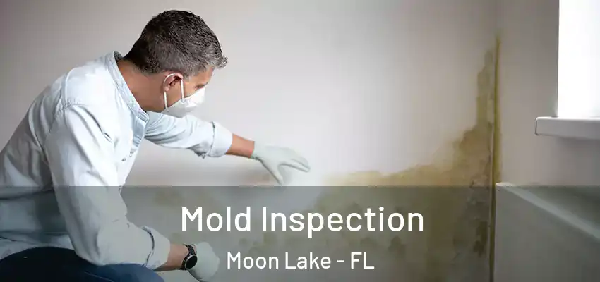 Mold Inspection Moon Lake - FL