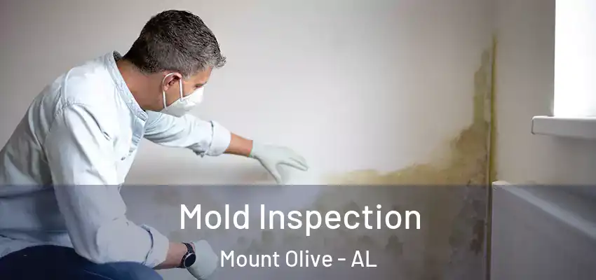 Mold Inspection Mount Olive - AL