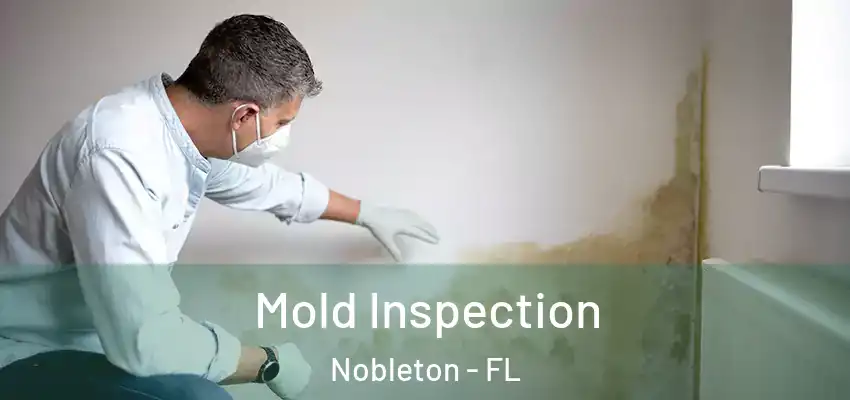 Mold Inspection Nobleton - FL