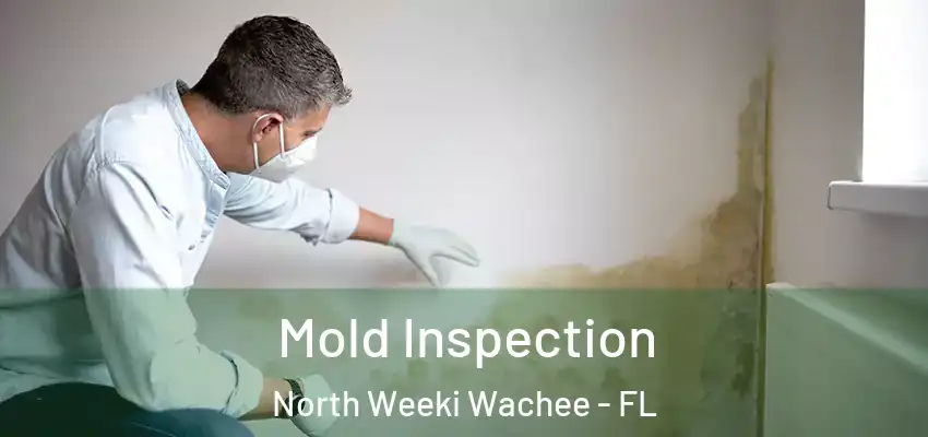 Mold Inspection North Weeki Wachee - FL