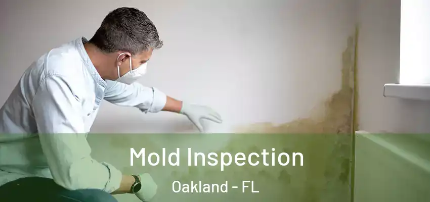  Mold Inspection Oakland - FL