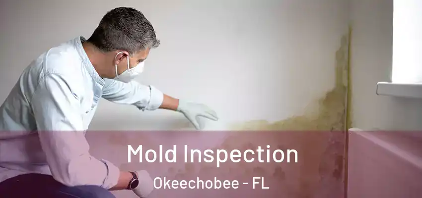 Mold Inspection Okeechobee - FL