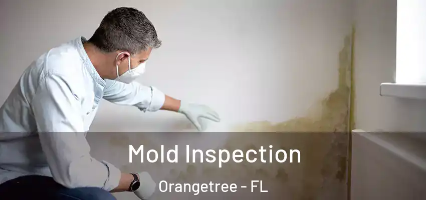 Mold Inspection Orangetree - FL
