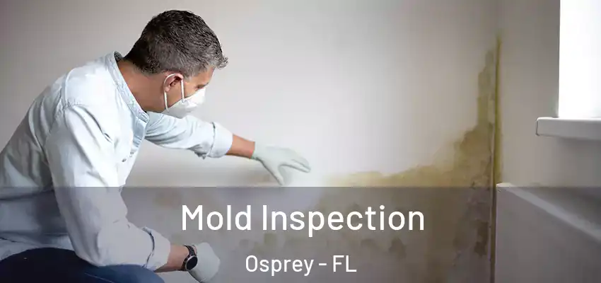 Mold Inspection Osprey - FL