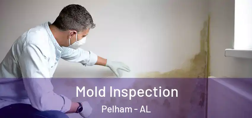 Mold Inspection Pelham - AL