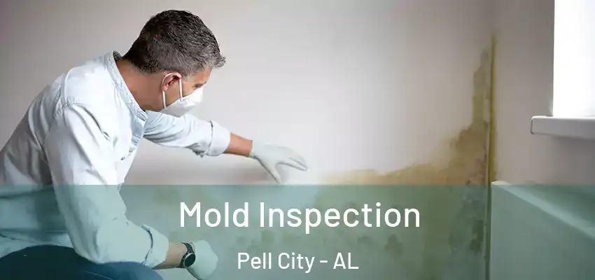 Mold Inspection Pell City - AL